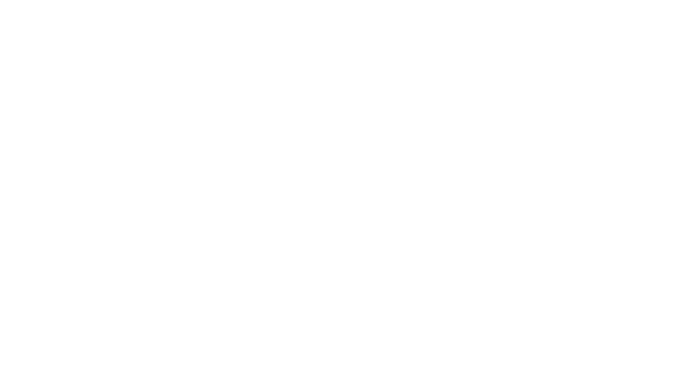 EnerGlobix Development